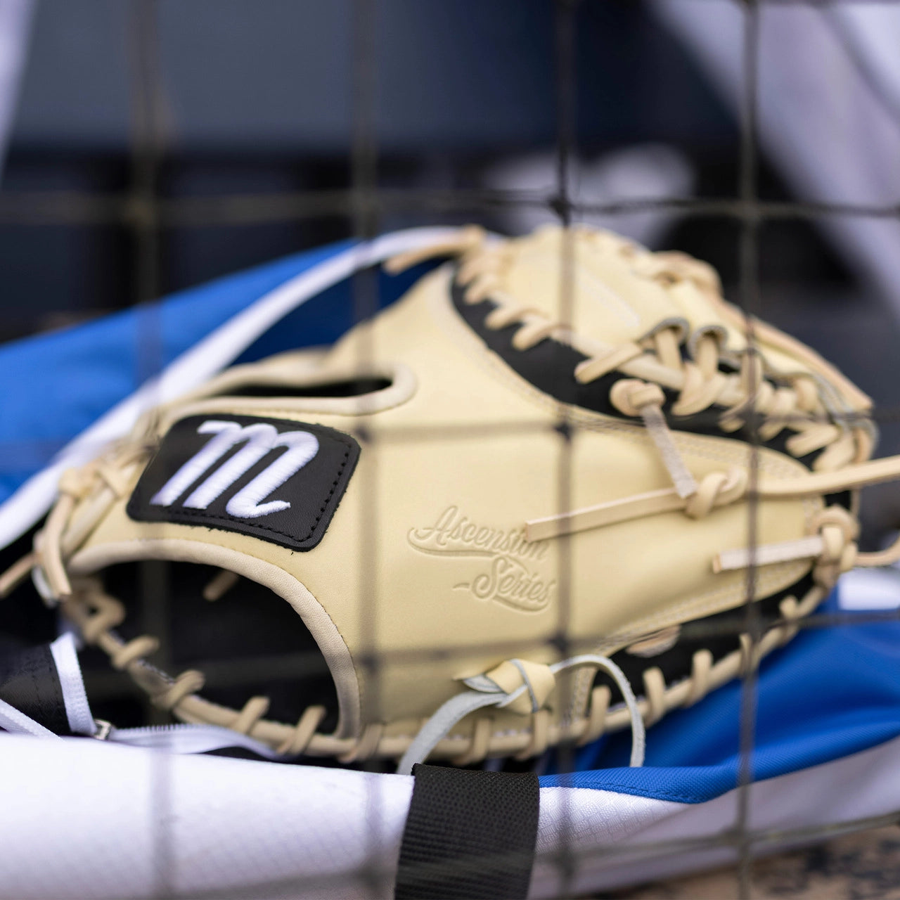 ASCENSION M TYPE 225C1 32.5 SOLID WEB CATCHERS MITT